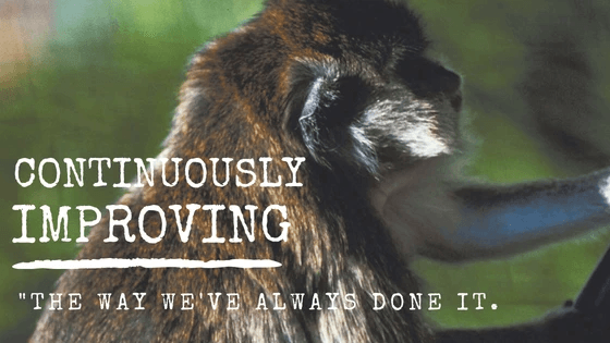 continuously improving text blog banner